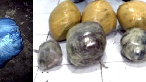 Surxondaryoda Afg‘oniston fuqarosi 30 kg ko‘knori bilan qo‘lga olindi