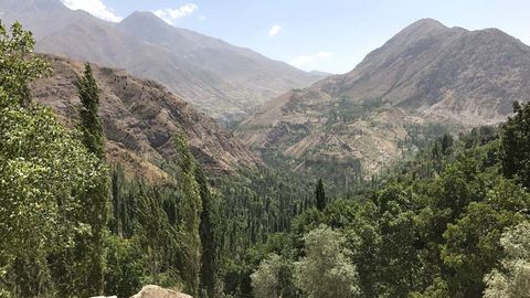 Turkiya O‘zbekistonda o‘rmonlarni rivojlantirishga 10 mln dollar ajratadi