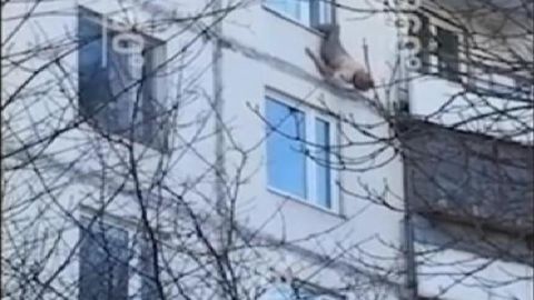 Moskvada o‘zini o‘ldirmoqchi bo‘lgan keksa ayol buning uddasidan chiqolmadi (video)