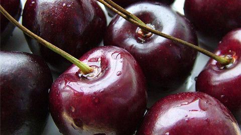 «Ўзбекозиқовқатхолдинг» фермер, деҳқон хўжаликлари ва томорқа ер эгаларидан гилос харид қилиш нархларини белгилади