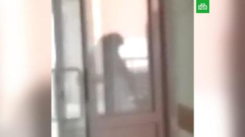 Rossiyada ota-onasi yuz o‘girgan chaqaloqni urgan tibbiy xodim javobgarlikka tortildi (video)