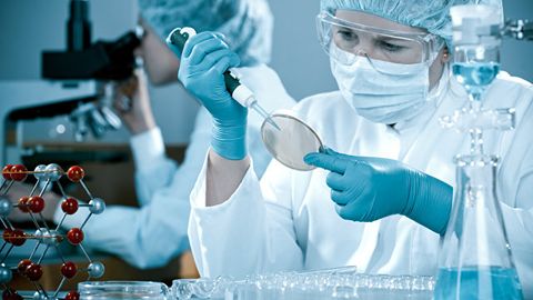 Rossiyalik olimlar dunyoda birinchi bo‘lib muzlatilgan qurbaqa yuragini qayta tiklashga muvaffaq bo‘ldi