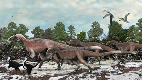 Paleontologlar Xitoyda Yerdagi eng qadimiy qazg‘oq izlarini topdi