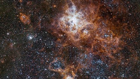 Olimlar eng notinch yulduz turkumlarida “dengiz otchalari”ni topdi