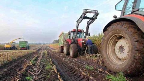 Quyi Chirchiqda o‘zboshimchalik bilan 6,5 gektar paxta maydonini haydab tashlagan fermerga nisbatan jinoyat ishi qo‘zg‘atildi