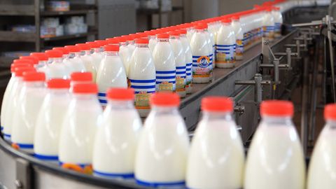 Latviyalik mutaxassis O‘zbekistondagi sut sanoati korxonalariga maslahatchi qilib tayinlandi