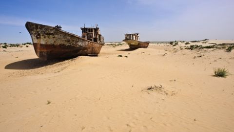 Bir guruh olimlar Orol dengizining qurigan tubida chorvachilikni yo‘lga qo‘yishni taklif qilmoqda