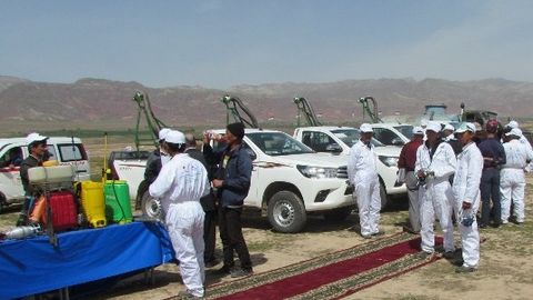 Сурхондарёда зарарли чигирткаларга қарши курашиш бўйича халқаро семинар ўтказилди