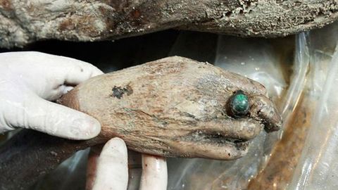 Toshkentda mumiyoga aylangan ayol jasadi topildi