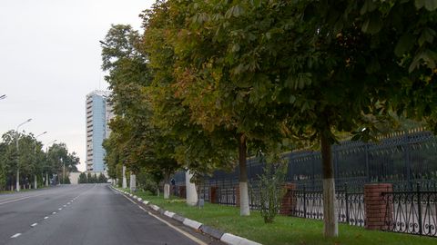 Тошкентда ҳар бир кесилган дарахт учун 10 туп дарахт қоидаси ўрнатилади