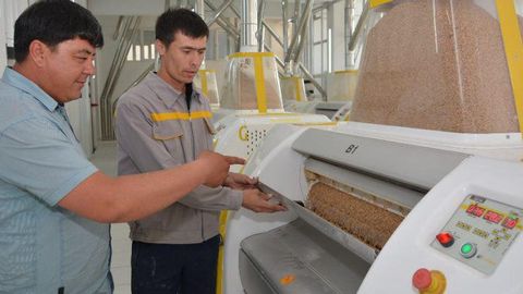 “Qo‘qon” erkin iqtisodiy zonasida un ishlab chiqaruvchi yangi korxona ish boshladi