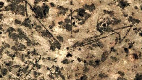 «Устюрт найзалари» ҳақида эшитганмисиз?