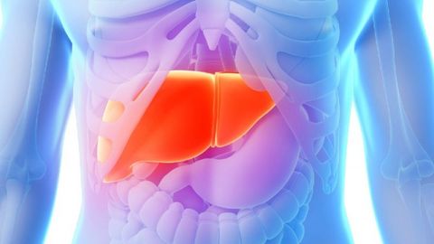 Ўзбекистонда жигар етишмовчилигида даволаш усулини танлаш бўйича дастур яратилди