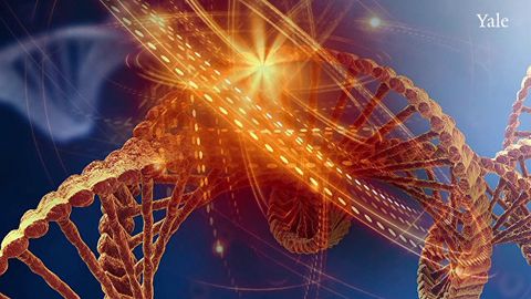 Россиялик олимлар диабетга қарши дориларда аксилрадиацион хусусиятни аниқлади