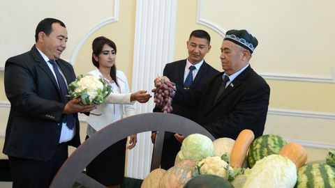 O‘zbekistonda “Ilg‘or fermer” ko‘krak nishoni ta’sis etildi