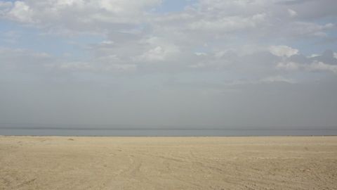 O‘zbekistonda 2017-yili Orolbo‘yi mintaqasida amalga oshirilayotgan ekologik tadbirlar uchun 50 mlrd so‘m sarflandi