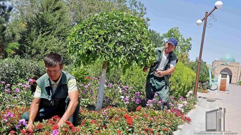 Ramazon hayiti arafasida Surxondaryodagi ziyoratgohlar obodonlashtirilmoqda