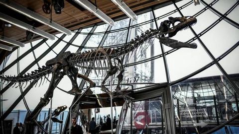 Fransiyada noma’lum turdagi yirtqich dinozavr skeleti 2 mln dollarga sotildi