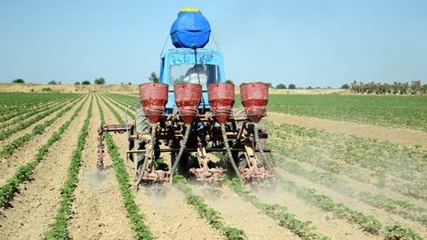 Dehqon va fermer dalasida ishlasinmi yoki haydovchilik malakasini oshirsin?