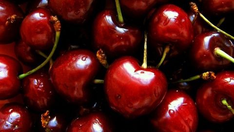 O‘zbekistondan Xitoyga gilos eksport qilina boshlandi