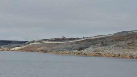 Ҳаёт пайдо бўлиши ҳақидаги қотиб қолган тасаввурлар рад этилди