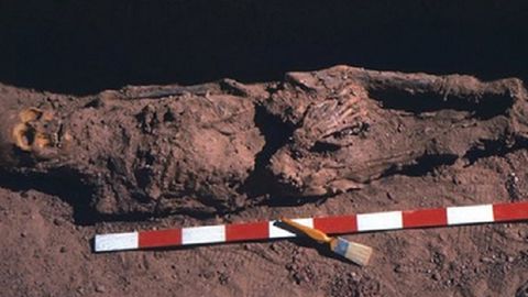 Қадимги одамлар саратонга чидамли бўлгани аниқланди