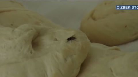 Toshkentdagi reydlar davomida suvarak va pashshalar makon qilgan nonvoyxona va oshxonalar aniqlandi (video)