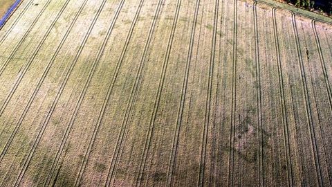 Irlandiyada dron yangi “Stounxenj”ni aniqladi (video)