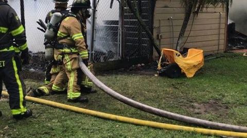 АҚШда қўриқхонани яшин уриши оқибатида юзлаб экзотик жониворлар нобуд бўлди (видео)