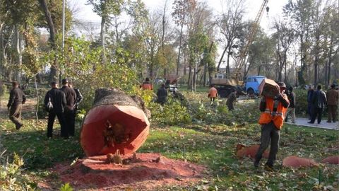 Deputat Nuriddin Zaynitdinov: 1 kub metr chinorni 800-1000 dollarga pullayotgan vijdonsizlar, ularga panoh bo‘layotgan mansabdorlar, qachon insofga kelasiz?