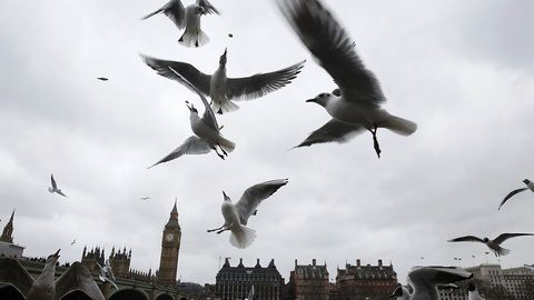 Буюк Британия АҚШнинг «Қрим декларацияси»ни қўллаб-қувватлади