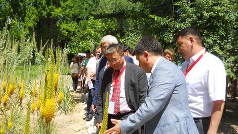 O‘zbekistonda Botanika muzeyi tashkil etiladi