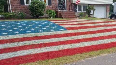 Amerikalik fuqaro Mustaqillik kuni munosabati bilan hovlisidagi maysazorni mamlakat bayrog‘iga aylantirdi