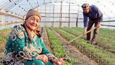 O‘zbekistonda uyda o‘z ishini yuritayotan ayollarga mehnat daftarchasi ochiladi