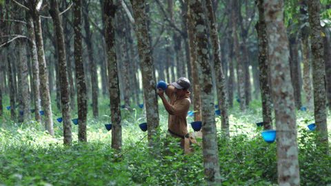 O‘zbekiston va Indoneziya kauchukni qayta ishlash bo‘yicha hamkorlik qiladi