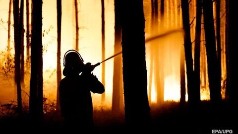 Германияда ўрмон ёнғинлари сабабли юзлаб одамлар эвакуация қилинди