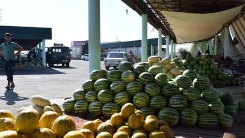 O‘zbekistonliklarning tarvuzning narxini eshitganda tarvuzi qo‘ltig‘idan tushmoqda