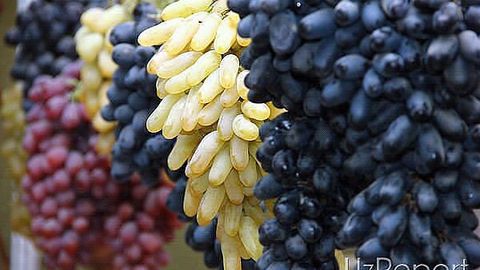 To‘rt yillik mojaro: Uzumni Rossiyaga yetkazib beraman deb, 350 ming dollarni “yeb yuborgan” yunusobodlik qo‘lga olindi