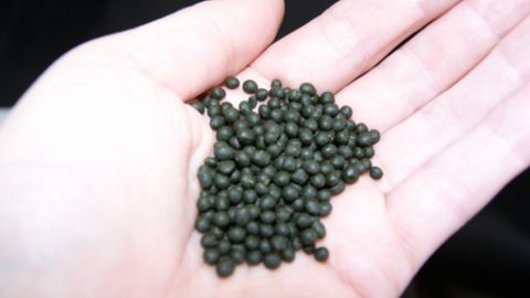 Toshkentlik fuqaro uyida nosvoy tayyorlanadigan sex ochdi