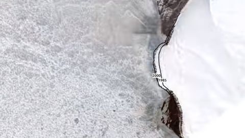 Muzlikning falokatli erishi namoyish etildi