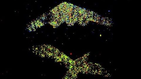 Xitoyda kvant radar yaratildi