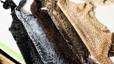 Самарқанднинг Нуробод туманида қоракўлчилик маркази очилди