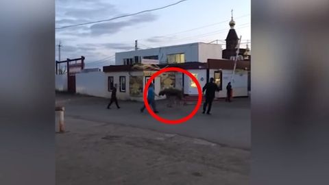 Россияда хусусий ҳайвонот боғидан туяқуш қочиб кетди