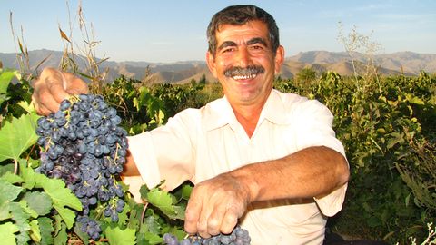 O‘zbek uzumi Ukraina bozorida raqobatga dosh bera olmayapti