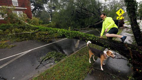 АҚШда «Флоренс» довули қурбонлари сони 32 кишига етди