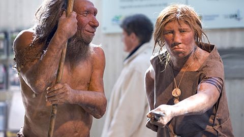 Ulkan qushlar neandertallarning bolalarini ovlagani aniqlandi