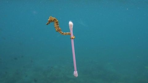 Yevroparlament bir martalik plastik buyumlarga taqiqni qo’llab-quvvatladi