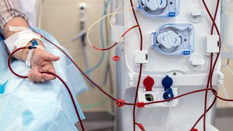 Toshkentda zamonaviy gemodializ va laboratoriya diagnostika markazi tashkil etiladi