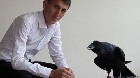 “Gosha” laqabli gapiruvchi qarg‘asi bilan mashhur bo‘lgan marhum Shodibek va uning qarg‘asi haqidagi ba’zi tafsilotlar