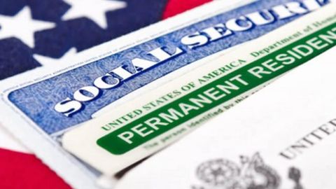 2019-yil uchun Grin-karta ochildi